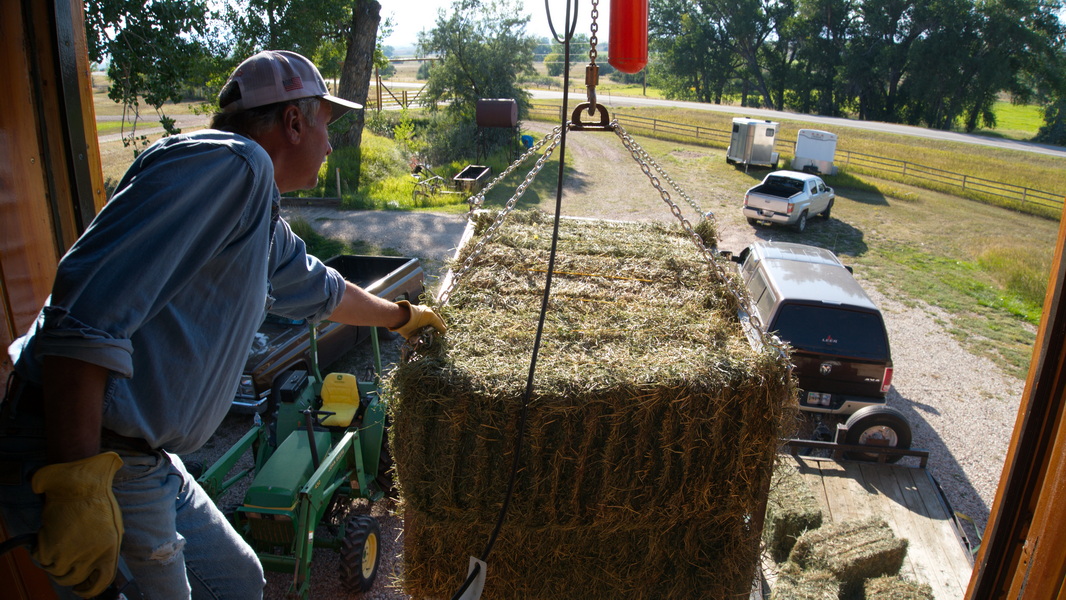 Hoisting a hay bale by hand hoist from a barn loft, with horse trailers and pickups in the yard beyond