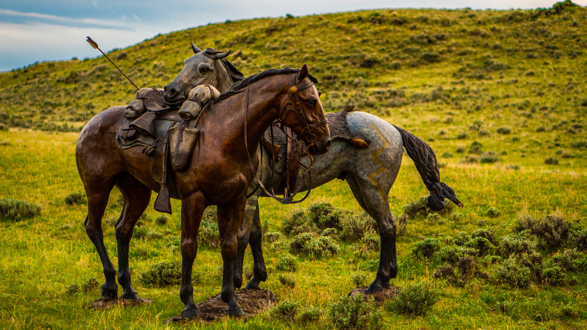 The cavalry horse