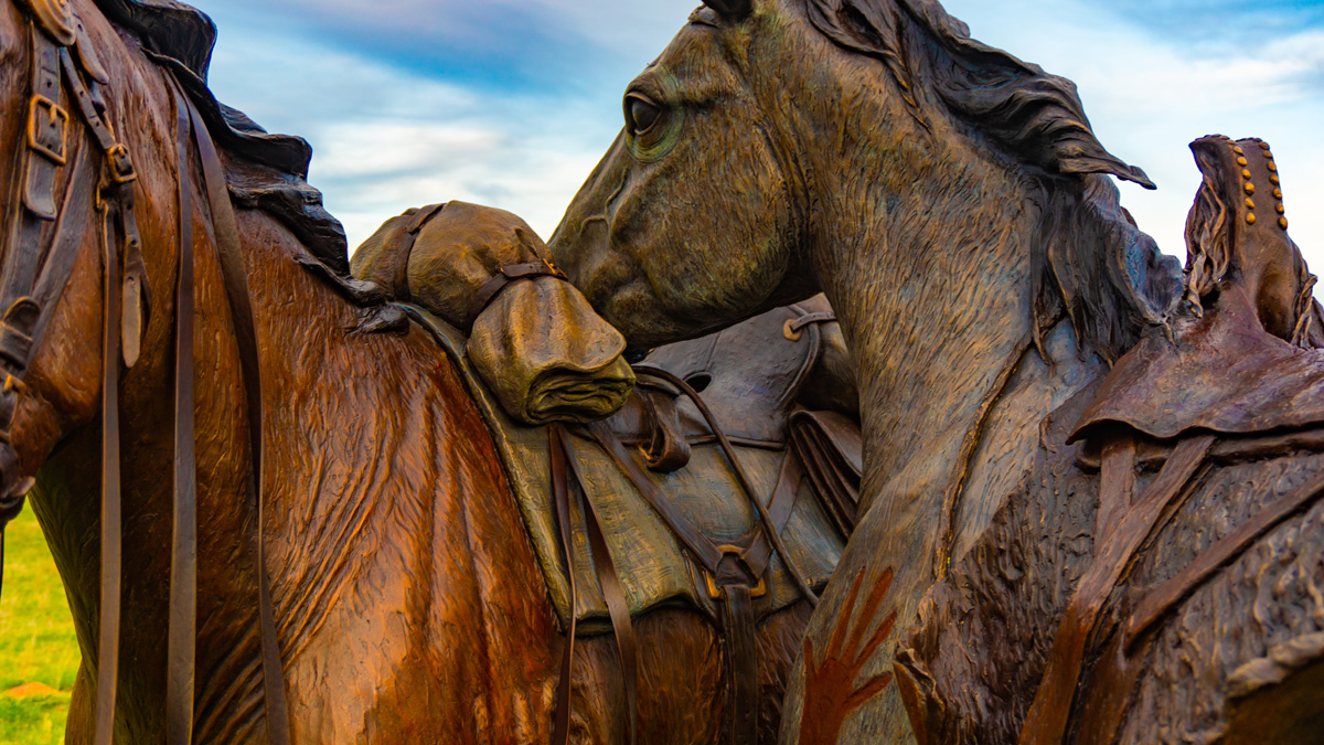 The horses show no animosity toward each other