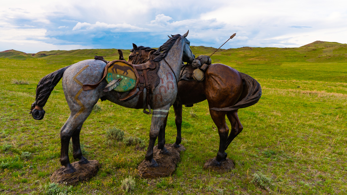 The Indian pony