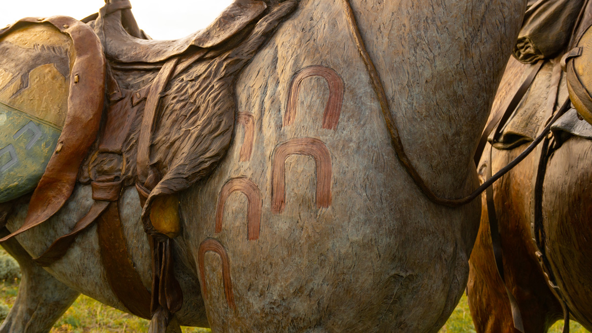 Hoof tracks