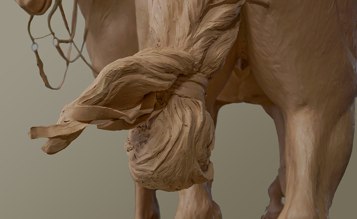 Indian horse’s tail, close up