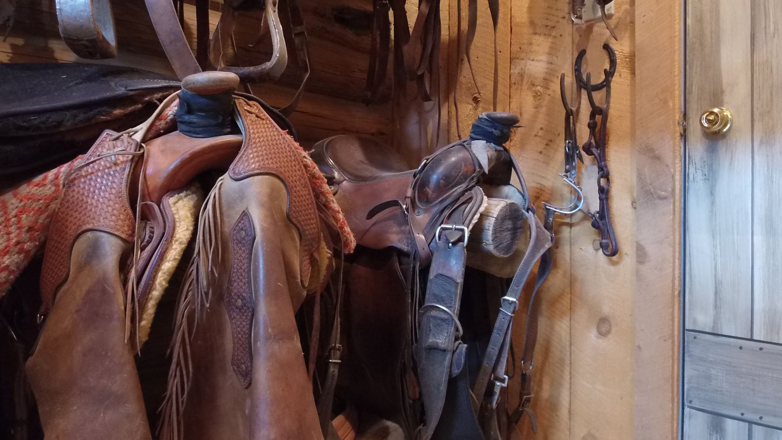 Saddles, chaps, bridles and bits hanging on the log wall of the tack room