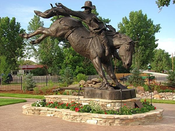 Good Ride Cowboy (Life and One Half) &mdash; catalogue view 1